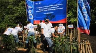 Dukung Penyerapan Blue Carbon dan Berdayakan Masyarakat, BTN Tanam 10.000 Mangrove di Kuta Bali