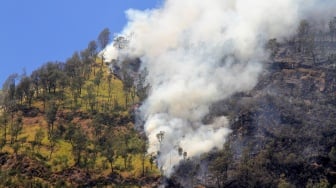 Api Masih Berkobar di Bromo, Jalur Wisata Ditutup Sementara