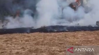 Kebakaran di Alun-alun Suryakencana, Pendakian Gunung Gede Pangrango Ditutup Lima Hari