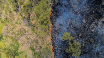 Foto udara api membakar hutan di kawasan Taman Nasional Bromo Tengger Semeru (TNBTS), Kabupaten Probolinggo, Jawa Timur, Kamis (6/8/2026). [ANTARA FOTO/Umarul Faruq/kye]