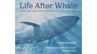 Life After Whale: Perpaduan Ilustrasi Spektakuler dan Sains yang Memikat