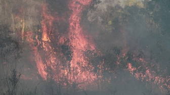 Api membakar semak belukar lahan di dekat kawasan permukiman Tegal Sari, Palangka Raya, Kalimantan Tengah, Jumat, (7/8/2026). [ANTARA FOTO/Auliya Rahman/hma]