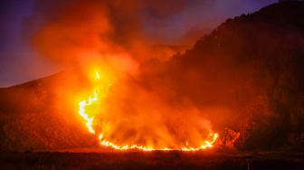 Suasana kebakaran hutan di kawasan Taman Nasional Bromo Tengger Semeru (TNBTS), Kabupaten Pasuruan, Jawa Timur, Minggu (9/8/2026). [ANTARA FOTO/Irfan Sumanjaya/agr]