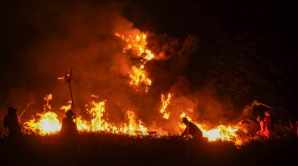 Petugas gabungan berupaya memadamkan kebakaran hutan di kawasan Taman Nasional Bromo Tengger Semeru (TNBTS), Kabupaten Pasuruan, Jawa Timur, Minggu (9/8/2026). [ANTARA FOTO/Irfan Sumanjaya/agr]