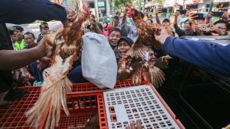 Peternak ayam petelur yang tergabung dalam Paguyuban Peternak Petelur Yogyakarta (P3Y) membagikan ayam petelur secara gratis kepada warga di kawasan Malioboro, Yogyakarta, Senin (10/8/2026). [ANTARA FOTO/Andreas Fitri Atmoko/foc]