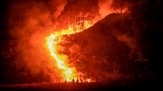 Petugas gabungan memantau kebakaran hutan di kawasan Taman Nasional Bromo Tengger Semeru (TNBTS), Kabupaten Pasuruan, Jawa Timur, Minggu (9/8/2026). [ANTARA FOTO/Irfan Sumanjaya/agr]