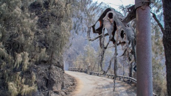 Kondisi jalur wisata pasca kebakaran di kawasan Taman Nasional Bromo Tengger Semeru (TNBTS), Kabupaten Pasuruan, Jawa Timur, Senin (10/8/2026). [ANTARA FOTO/Irfan Sumanjaya/nz]