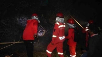 Kemenhut Berhasil Padamkan Kebakaran 30 Hektare di Gunung Rinjani