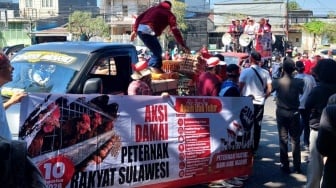 Menjerit Harga Pakan Meroket! Ribuan Peternak di Sulsel Terancam Gulung Tikar