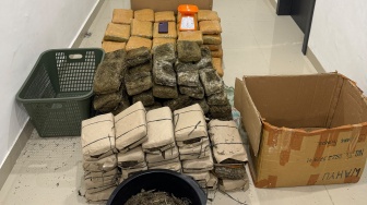 Polisi Ungkap 169 Kg Ganja di Deli Serdang, 3 Orang Ditangkap