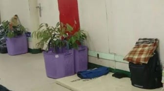 Bibit Durian Diturunkan di Pelabuhan Makassar Padahal Punya Izin, Ini Respons Badan Karantina