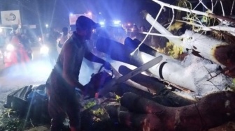 Pohon Tumbang Timpa Mobil di Pidie Aceh, 7 Tewas