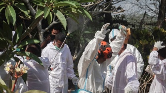Petugas menyemprotkan cairan disenfektan saat proses ekshumasi jenazah Sutrimo mantan kepala rumah tangga eks Jampidsus Kejagung Febrie Adriansyah, di Desa Wlahar, Wangon, Banyumas, Jawa Tengah, Rabu (12/8/2026). [ANTARA FOTO/Idhad Zakaria/hma]