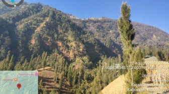 BPBD Pastikan Titik Api Karhutla Gunung Bromo di Probolinggo Padam