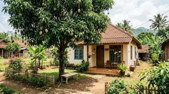 Feng Shui Pohon Mangga di Depan Rumah, Bawa Hoki atau Malah Sial?