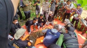 Dibantu Warga, Kemenhut Berhasil Tangkap Harimau Sumatera Dekat Sekolah di Agam