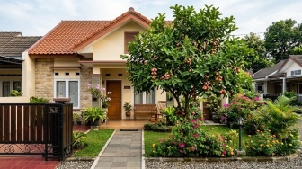 Efek Samping Menanam Pohon Jambu di Depan Rumah Menurut Feng Shui