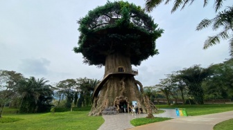 Tak Perlu Macet-macetan Pindah Spot, Enchanting Valley Tawarkan Solusi Liburan Seharian di Puncak