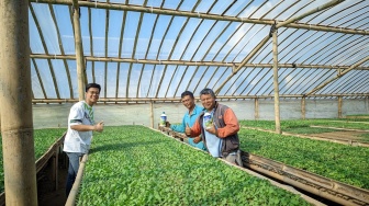 Bukan Sekadar Warisan: Cara Anak Muda Ini Bikin Sektor Pertanian Terlihat Keren di Mata Gen Z