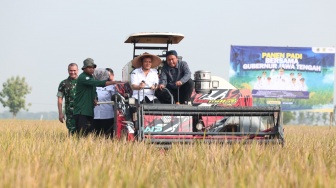 Hari Jadi Ke-81 Jateng: Dari Sawah Jawa Tengah untuk Meja Makan Indonesia