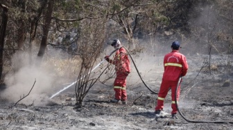 Bromo Belum Sepenuhnya Aman: Debu Setan Mengancam Savana yang Terluka