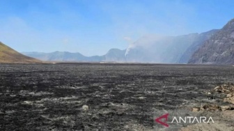 Karhutla Bromo Belum Usai Dihitung, TNBTS Mulai Kaji Total Kerugian