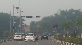 Diselimuti Kabut Asap, Kualitas Udara Pekanbaru Sentuh Level Berbahaya