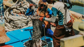 Mengejar Potensi Perikanan US$34 Miliar, Mengapa Indonesia Perlu Perkuat Energi Pesisir?