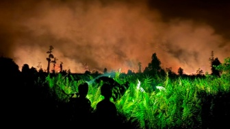 Asap Kebakaran Hutan Kalimantan Sudah Sampai Malaysia, Sekolah di Sarawak Ditutup