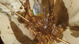 Sindrom Defisit Rumah: Saat Sate Paling Enak Pun Kalah oleh Telur Dadar Buatan Ibu