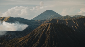 Kebakaran di Kawasan Bromo: Mengapa Pemulihan Ekosistem Tak Bisa Sekadar Menanam Pohon?