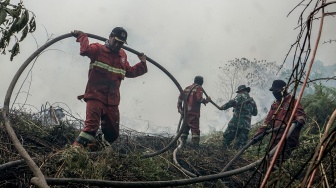 Petugas Manggala Agni Daops Pekanbaru dan personel TNI menarik selang saat berupaya memadamkan kebakaran lahan gambut yang meluas di Desa Rimbo Panjang, Kecamatan Tambang, Kabupaten Kampar, Riau, Rabu (19/8/2026). [ANTARA FOTO/Rony Muharrman/tom]