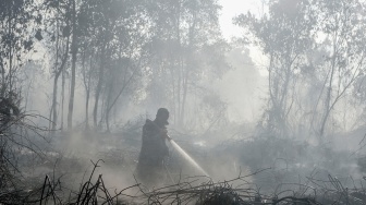 Petugas Manggala Agni Daops Pekanbaru menyemprotkan air saat berupaya memadamkan kebakaran lahan gambut yang meluas di Desa Rimbo Panjang, Kecamatan Tambang, Kabupaten Kampar, Riau, Rabu (19/8/2026). [ANTARA FOTO/Rony Muharrman/tom]