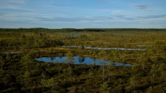 Pray for Kalimantan: Ketika Hutan Gundul, Kemarau Menjadi Api