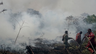 Petugas Manggala Agni Daops Pekanbaru dan personel TNI menarik selang saat berupaya memadamkan kebakaran lahan gambut yang meluas di Desa Rimbo Panjang, Kecamatan Tambang, Kabupaten Kampar, Riau, Rabu (19/8/2026). [ANTARA FOTO/Rony Muharrman/tom]