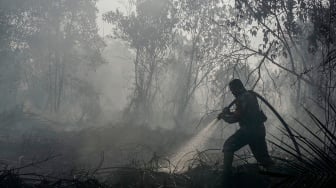 Karhutla Riau Makin Meluas, Ratusan Hektare Lahan Terbakar