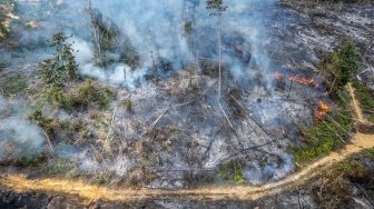 Foto udara bekas tebangan kayu yang terbakar di Tenam, Batang Hari, Jambi, Jumat (21/8/2026). [ANTARA FOTO/Wahdi Septiawan/YU]