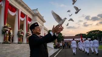 Burung Merpati di Langit Istana Telan Anggaran Rp305 Juta, Ini Rinciannya