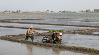 Petani membajak lahan pertanian dengan traktor di kawasan Waduk Gajah Mungkur, Wonogiri, Jawa Tengah, Kamis (20/8/2026). [ANTARA FOTO/Mohammad Ayudha/nym]
