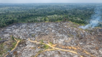 Foto udara bekas tebangan kayu yang terbakar di Tenam, Batang Hari, Jambi, Jumat (21/8/2026). [ANTARA FOTO/Wahdi Septiawan/YU]