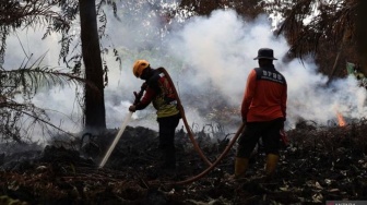 Duh! Asap Karhutla Ketapang Mengancam Pontianak hingga Negara Tetangga