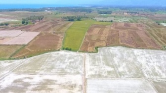 Kemarau Panjang, 1.400 Hektare Lahan Pertanian di Parigi Moutong Terancam Gagal Panen