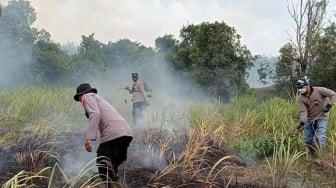 673 Hektare Lahan Way Kambas Hangus, Petugas Padamkan Api Hanya Berbekal Gepyok Kayu