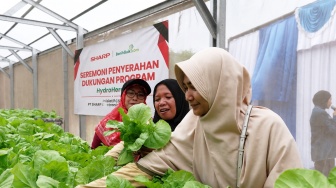 Teknologi Hidroponik Dibawa ke Bekasi, Ibu Muda Dibekali Skill Bisnis Digital