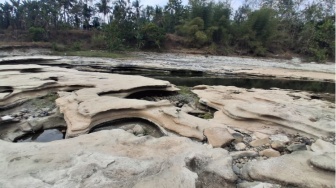 Korban FOMO Merapat! Eksotisnya Wajah Sungai Bogowonto Purworejo Saat Surut