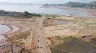 Waduk Jatigede Surut, Warga Sumedang Manfaatkan Lahan untuk Bertani