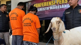 Suami-Istri Kompak Pelaku Pencurian Kambing, Dijual Lewat COD Berujung Apes
