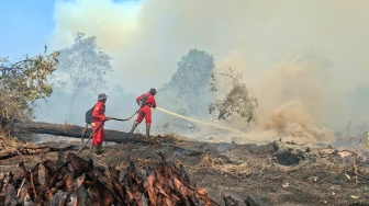 Pemadaman Karhutla di Pelalawan Terhambat Angin Kencang dan Asap Pekat