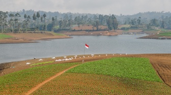 Suasana tepian Situ Cileunca yang mengering dan berubah menjadi lahan pertanian di Pangalengan, Kabupaten Bandung, Jawa Barat, Minggu (23/8/2026). [ANTARA FOTO/Raisan Al Farisi/kye]
