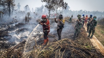 Sumbar Dikepung Asap Karhutla dari Jambi dan Riau! Warga Diimbau Pakai Masker Demi Kesehatan